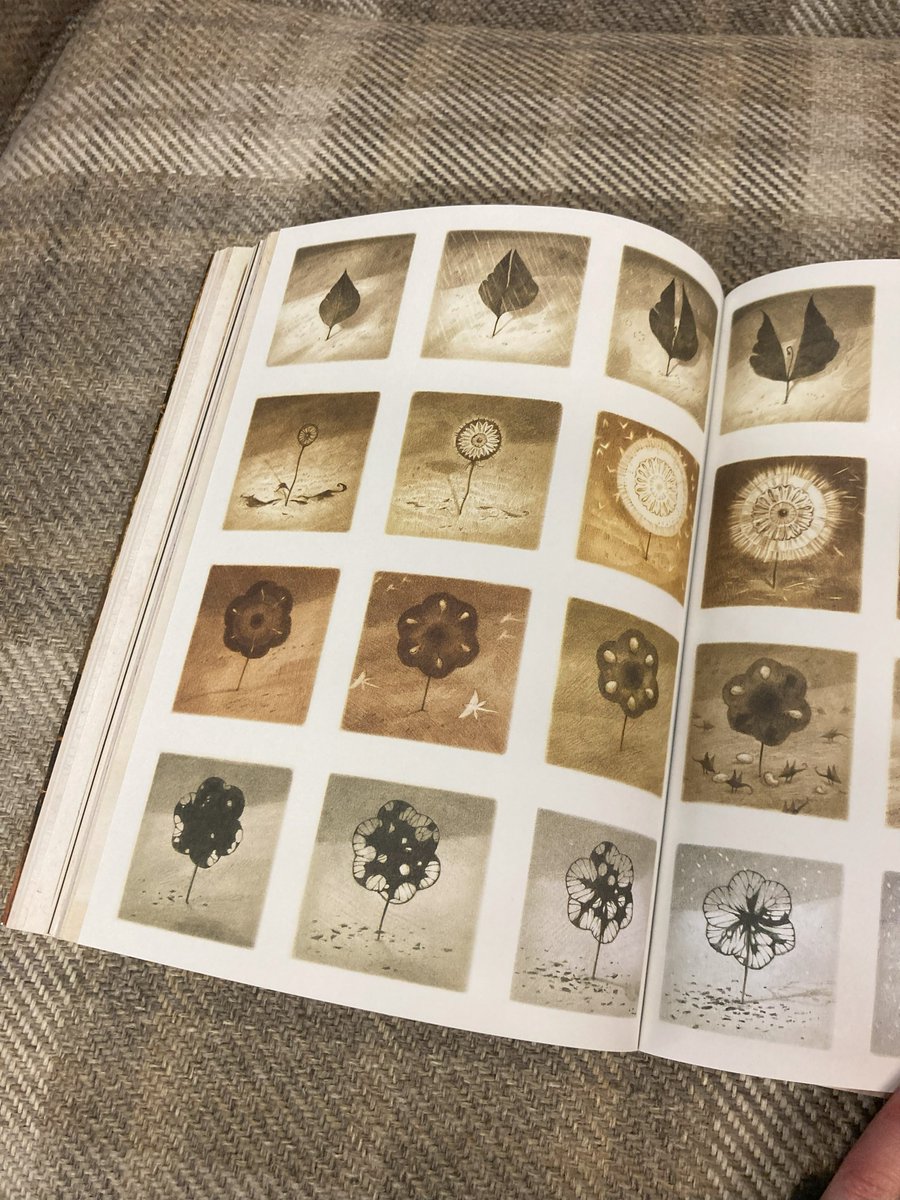 The Book Nook tweet media