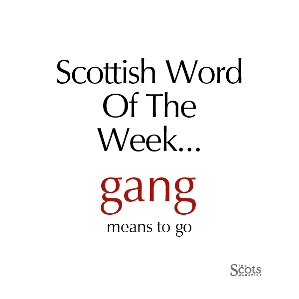 Today's #ScottishWordOfTheWeek is straight out of 'The Tortured Poets Department'... Gang in Scots is a verb meaning go. It was famously used by Robert Burns in his poem A Red, Red Rose. 'And I will luve thee still, my dear, Till a’ the seas gang dry.' #scotslanguage