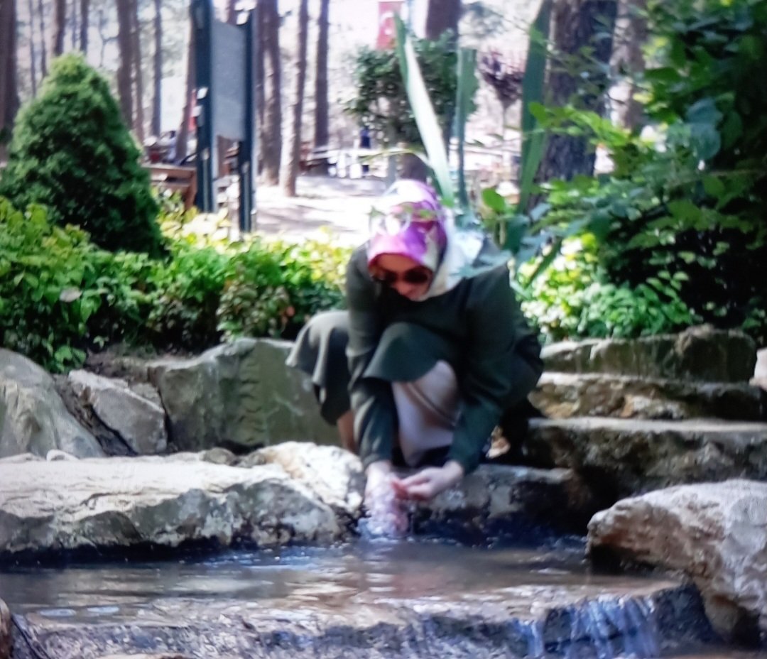 Kanatların Senin Değilse Yükselmen Felaketin Olur..