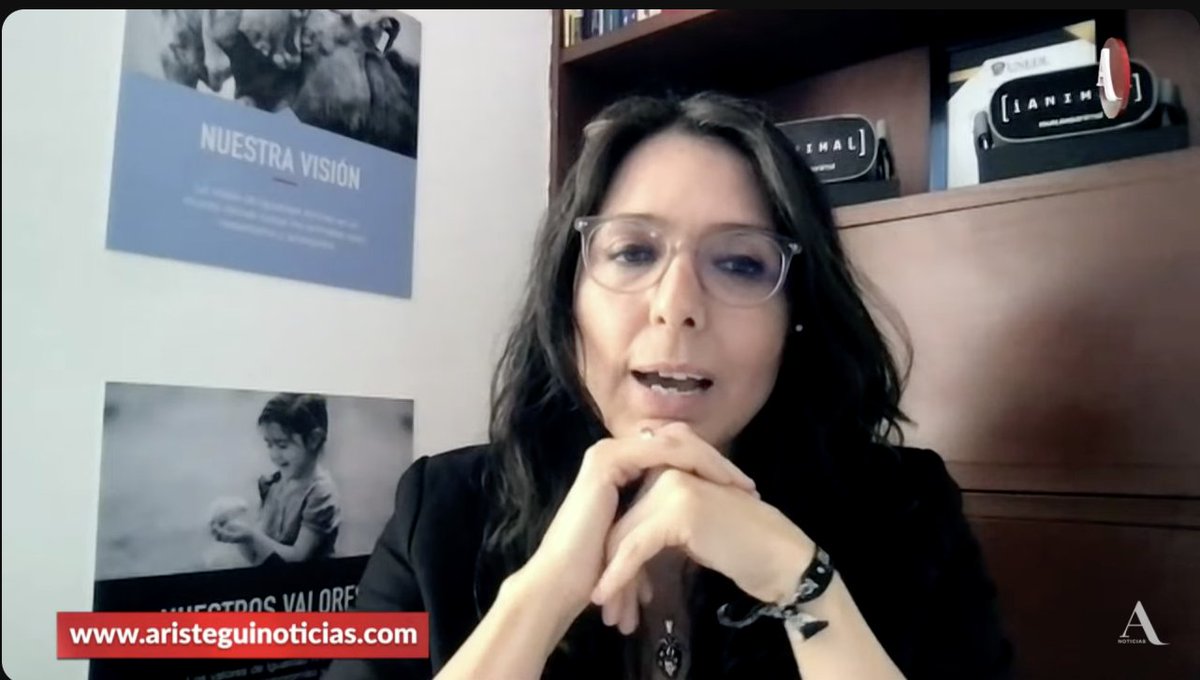 AristeguiOnline's tweet photo. #AristeguiEnVivo | Estamos con Dulce Ramírez, directora de @IA_Mexico

🔴 El tiempo se termina y los animales podrían no ser incluidos en la Constitución
👉  https://t.co/eINBZxBHJx https://t.co/LkDtfEVu8D