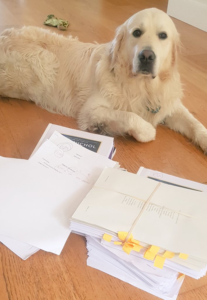 Nearly time to reveal the new book I've been working on for 18 months. Full deets next week. It is a VERY different subject for me, & very much a personal journey. @Ralph_Retriever approvef the final manuscript. Any guesses? But NOT from my friends who kindly read the draft!😂