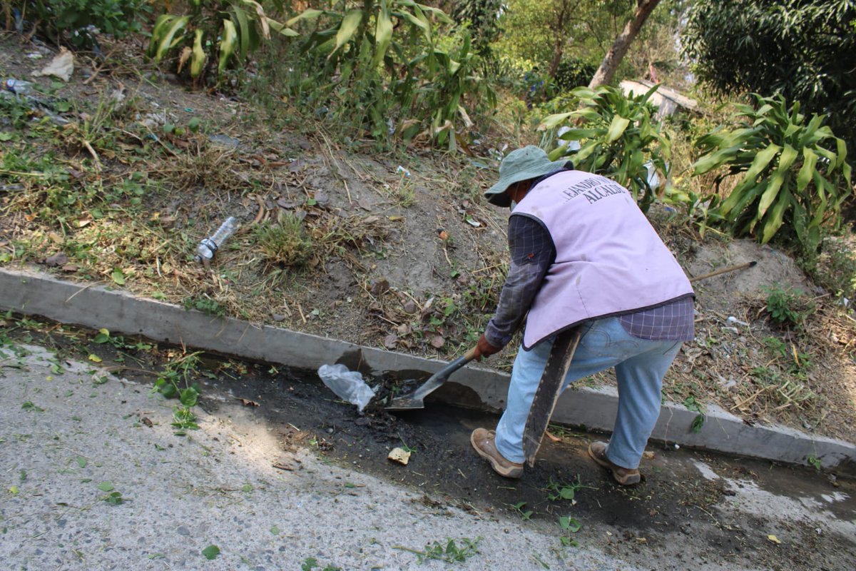Alejandr0Nochez's tweet photo. 📍 #Ayutuxtepeque
Este día realizando trabajos de limpieza y chapoda en la Colonia Monte Víctor 1 en el Cantón Los Llanitos, pedimos a todos la colaboración para que tengamos un municipio limpio.
TU BIENESTAR ES MI PRIORIDAD.
Alejandro Nóchez
"Cerca de la Gente". https://t.co/MAim3n8U0q