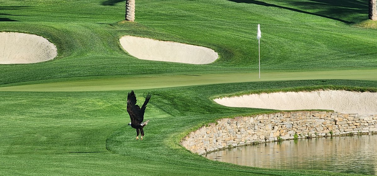 Freedom at the TCC  this morning. 🇺🇲🦅🫡
