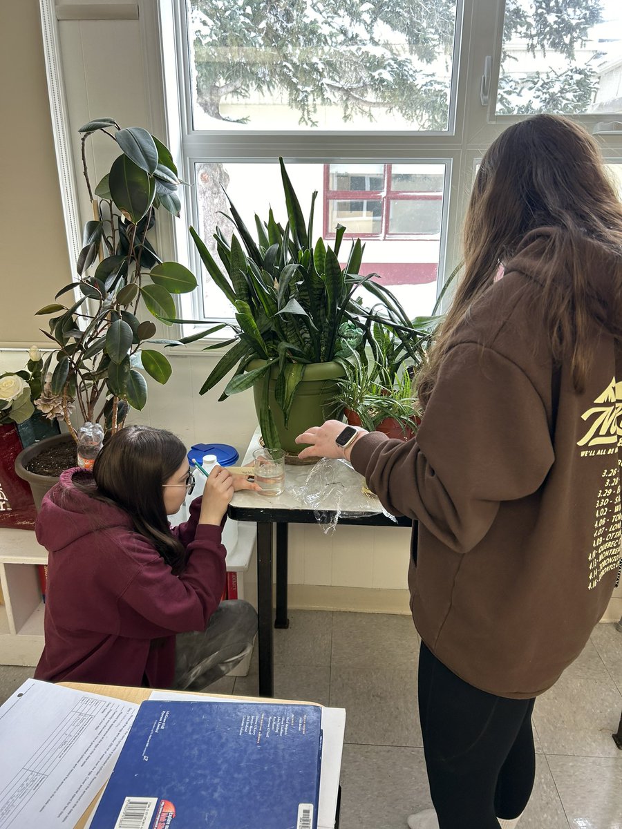 Annaheim School tweet media