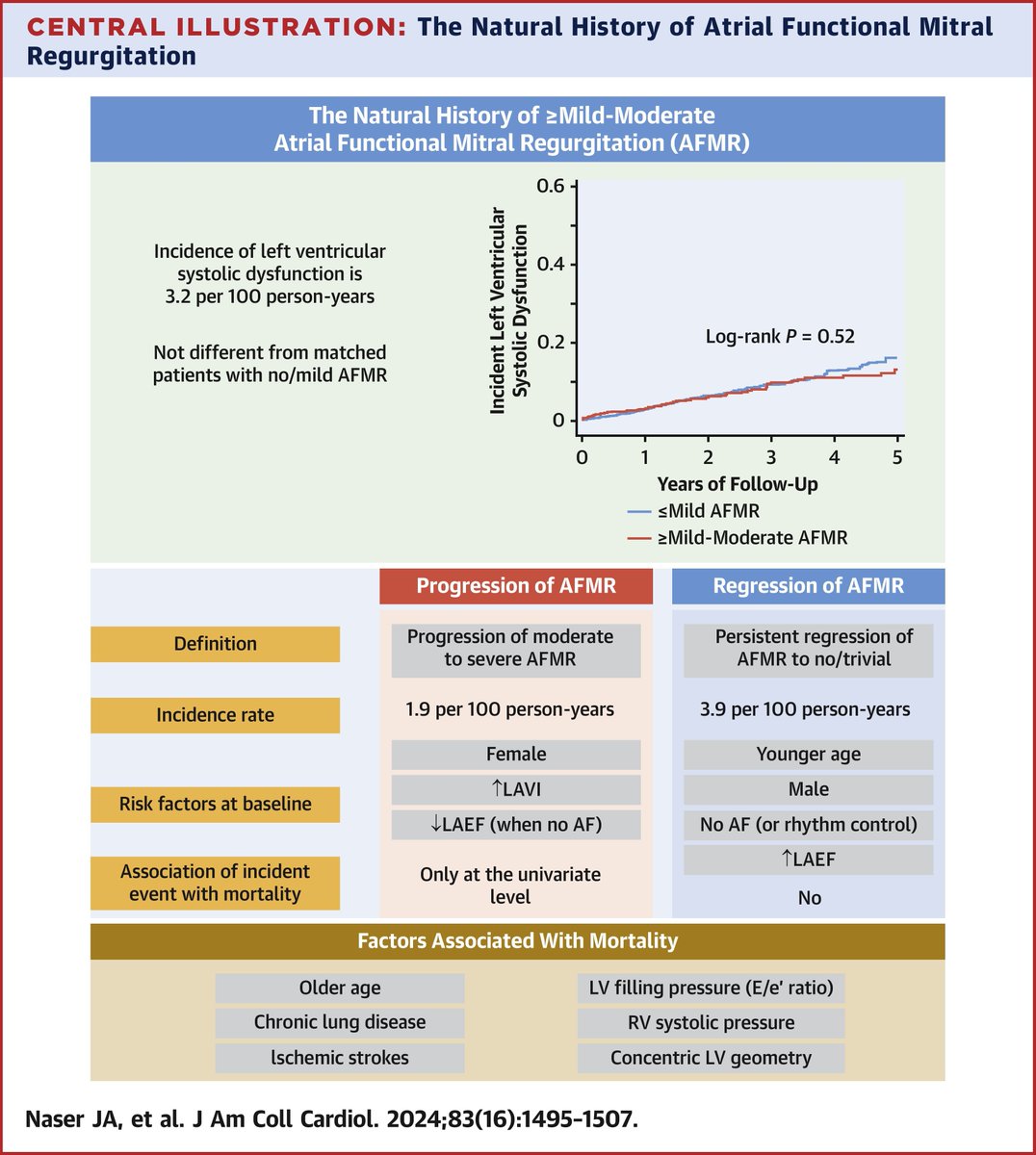 In atrial functional mitral regurgitation, the natural history suggests risk of the development of #HFpEF. See the details here: bit.ly/3xGsEQd #JACC @EleidMack @Jwan_Naser @franciscobalex