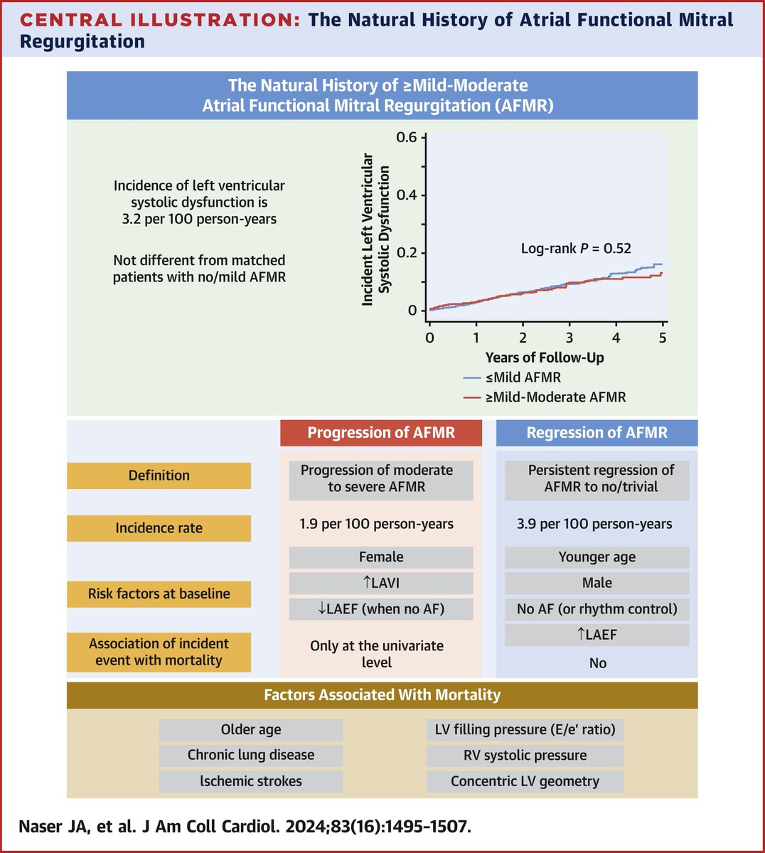 JACC Journals (@jaccjournals) on Twitter photo In atrial functional mitral regurgitation, the natural history suggests risk of the development of #HFpEF. See the details here: bit.ly/3xGsEQd
#JACC <a href="/EleidMack/">Mack Eleid</a> <a href="/Jwan_Naser/">Jwan A. Naser</a> <a href="/franciscobalex/">Francisco Alexandrino</a> In atrial functional mitral regurgitation, the natural history suggests risk of the development of #HFpEF. See the details here: bit.ly/3xGsEQd
#JACC <a href="/EleidMack/">Mack Eleid</a> <a href="/Jwan_Naser/">Jwan A. Naser</a> <a href="/franciscobalex/">Francisco Alexandrino</a>