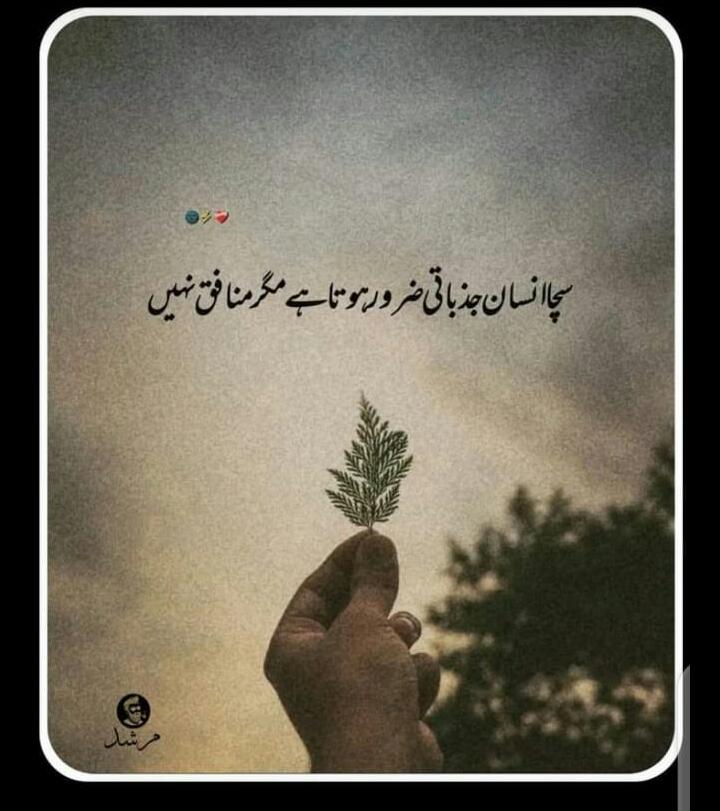 Muhammad Saad (@muhamma27629021) on Twitter photo 