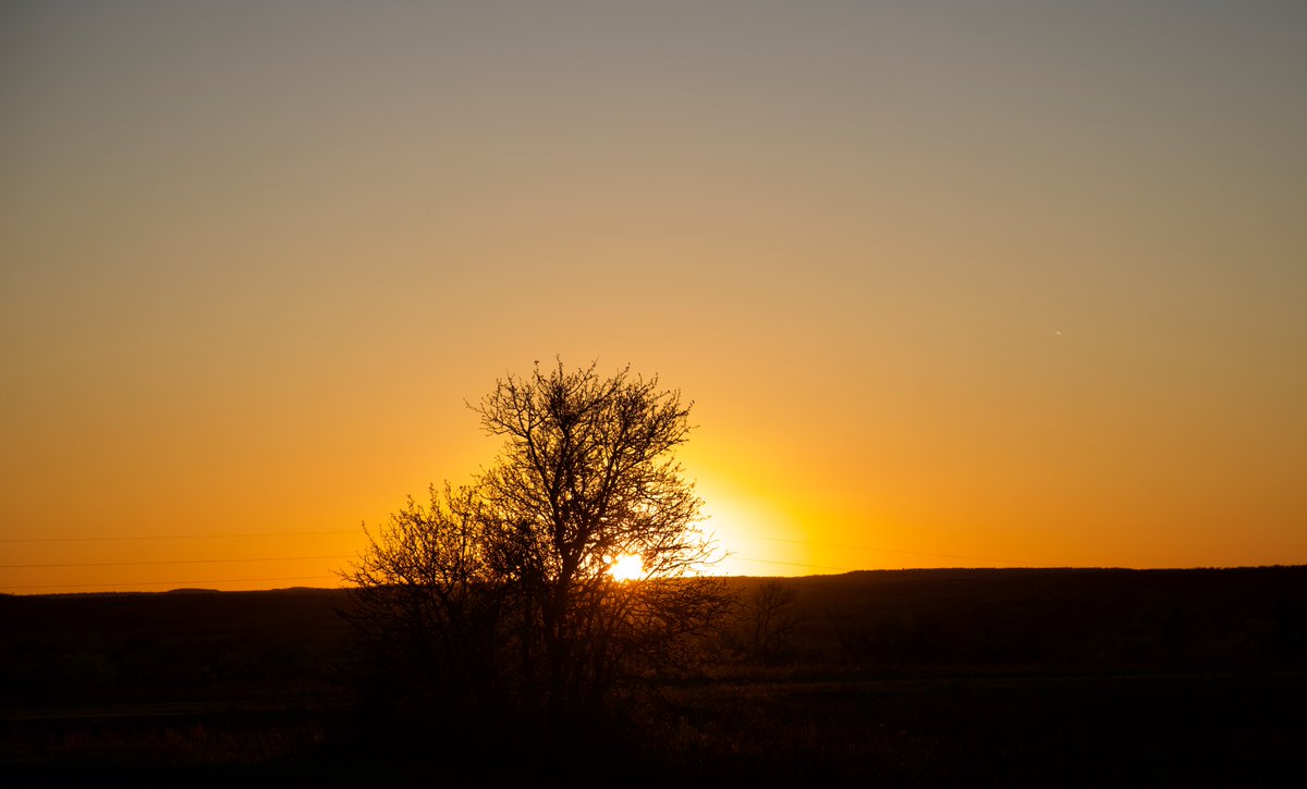 Jason Stefanides tweet media