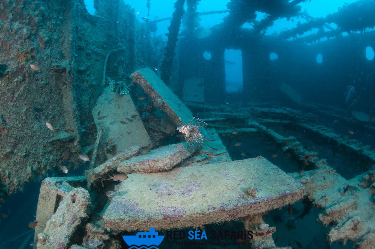 Rust or Reef...What's your favourite? 🐠 ⚓️ 🤿

#RedSea #Egypt #Scuba #Diving #ScubaDiving #RedSeaSafaris #Safaris #Liveaboards #LiveaboardHolidays #DiveTravel #DiverTravel