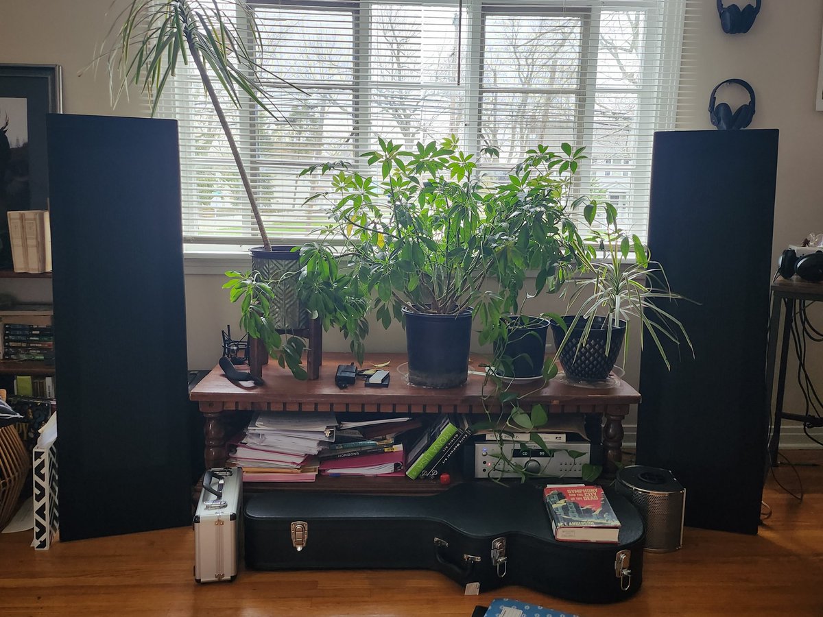 It's raining and I will be sitting in front of my magnepans all afternoon 😚