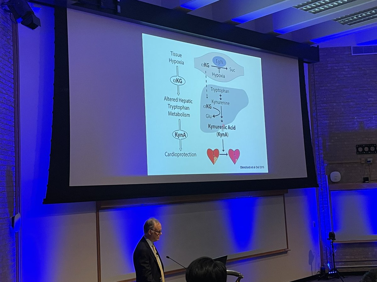 Tian Zhang, MD, MHS, FASCO (@tiansterzhangmd.bsky) tweet media