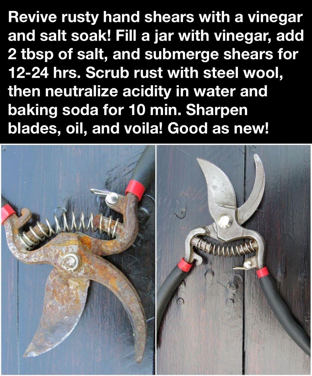 🌿✂️ Revive rusty hand shears with this simple DIY hack! Check out the full process. #GardeningHacks #DemeterEarth #FeedTheSoilHarvestTheFuture