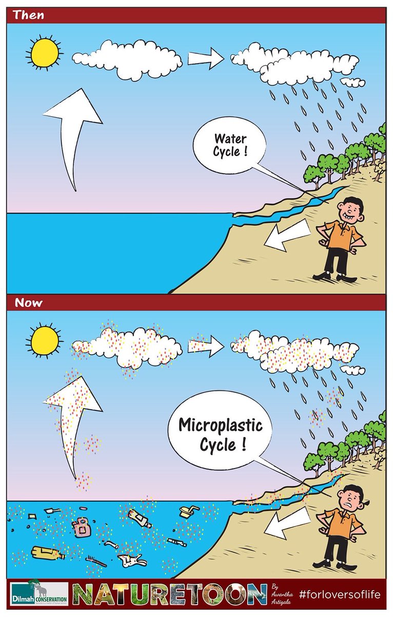 brianhugstrees's tweet image. #climateapocalypse