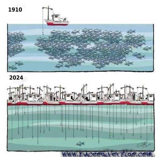brianhugstrees's tweet image. #climateapocalypse