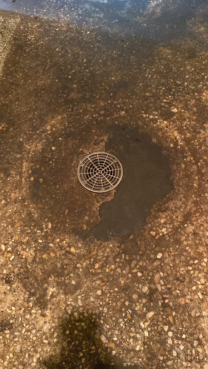 What if I just whipped it out and pissed in this . . .