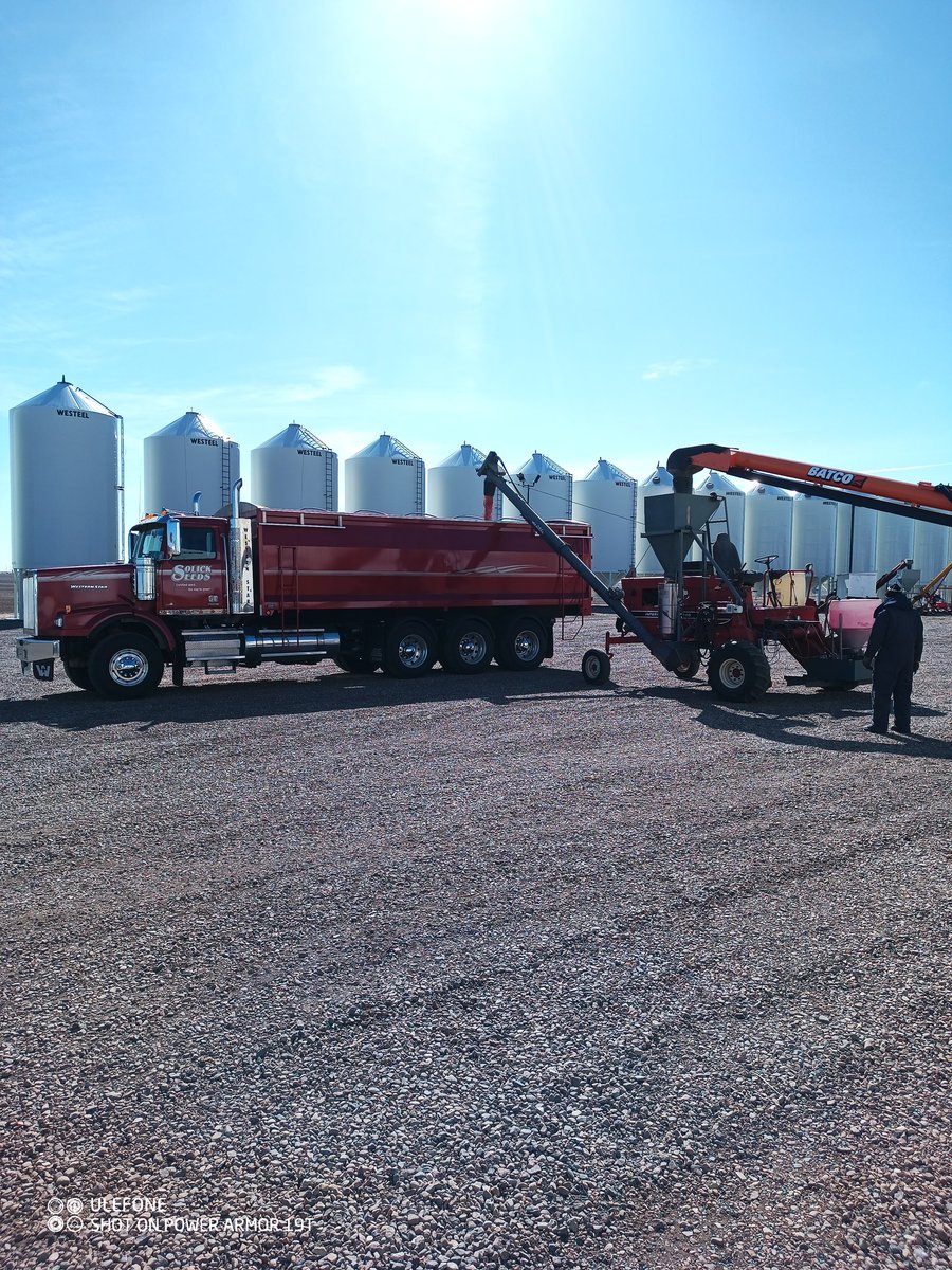 Kelsey Solick tweet media