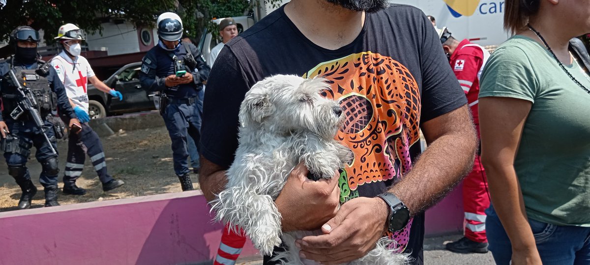 pulsopoliticoax's tweet photo. #ÚltimaHora Una perrita con el nombre de "Mila", fue rescatada por elementos de @Bomberos_GobOax durante el incendio a una vulcanizadora en Av. Eduardo Mata (Periférico).
La reacción inmediata de los elementos, hizo que la perrita fuera rescatada sana y salva. https://t.co/vUyv99UbqR