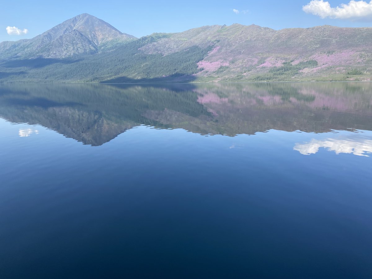 Having experienced both the Western Arctic & Brooks Range up close, I know how irreplaceable these landscapes are. Industrial scale drilling, mining, and trucking would have destroyed these wild places. I applaud @POTUS for protecting public lands that belong to every American.