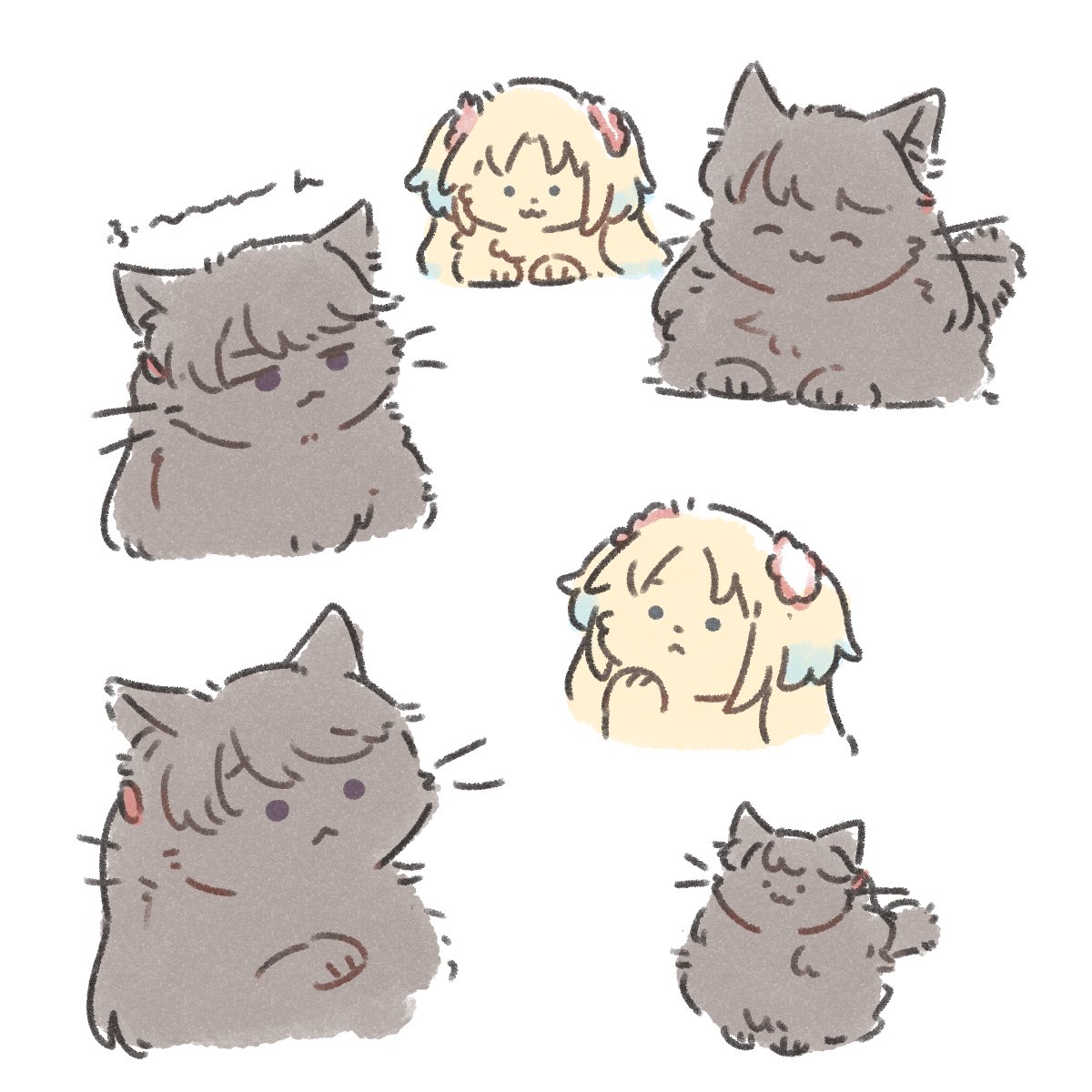 いろんなもふ 