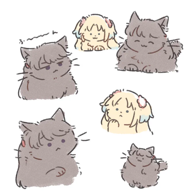 いろんなもふ 