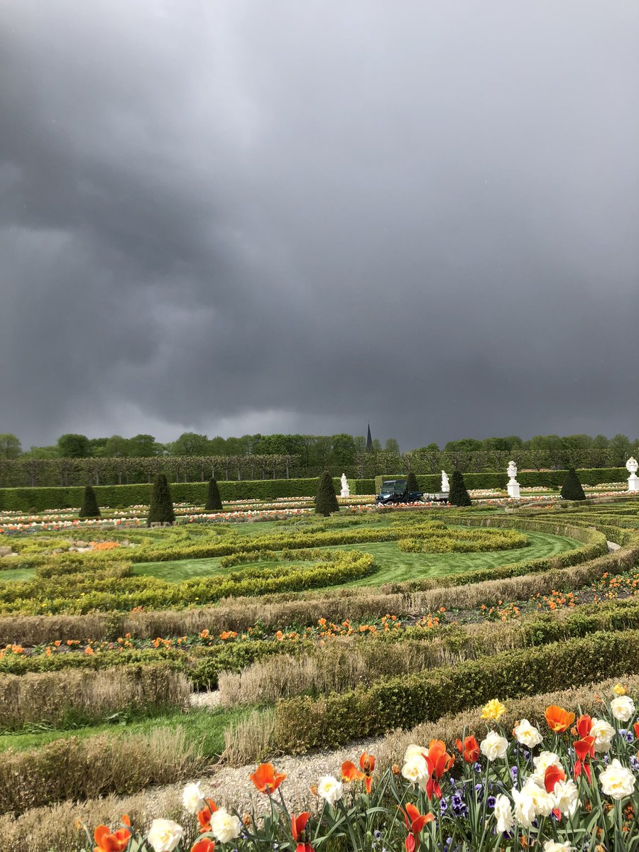 Manolis Solomonidis tweet media