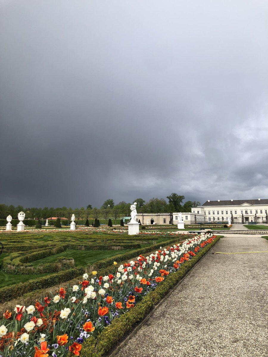 Manolis Solomonidis tweet media