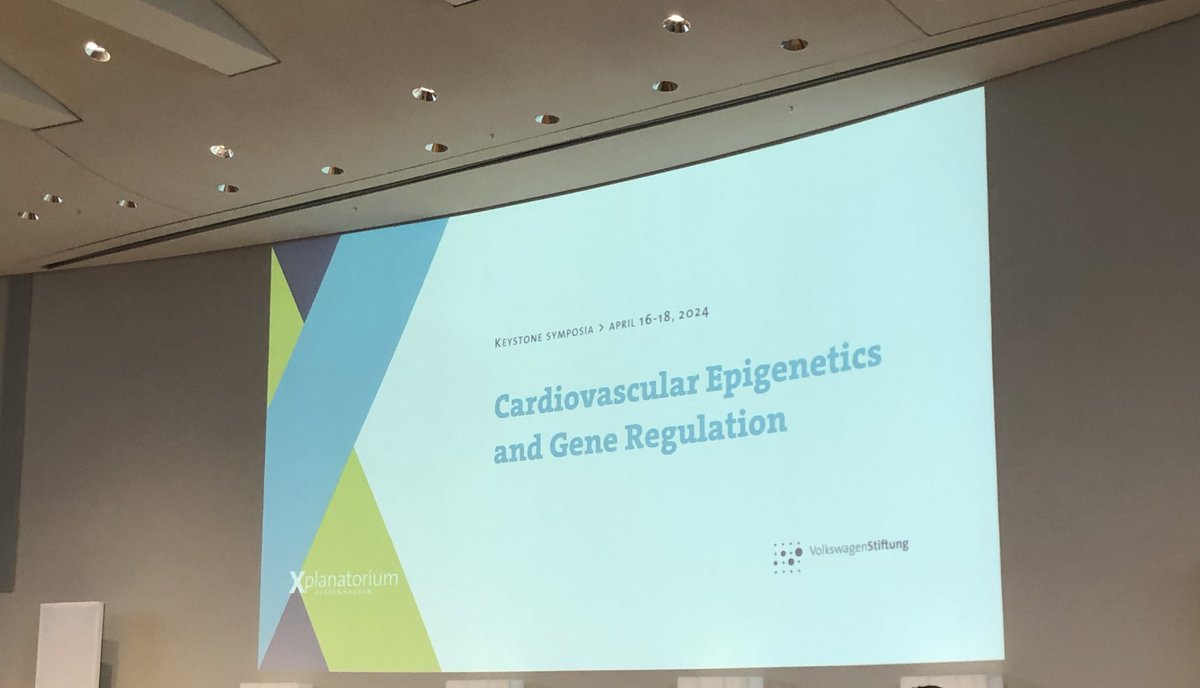 Manolis Solomonidis tweet media