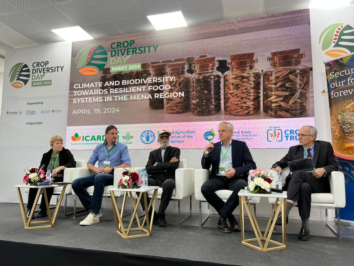 “Successes in crop diversity conservation, research use, and direct agricultural use in the MENA Region” - Genebank experts from @icarda, @croptrust, @UnivOfKansas, @IPKGatersleben discuss the importance and functions of genebanks and success stories supporting regional rural