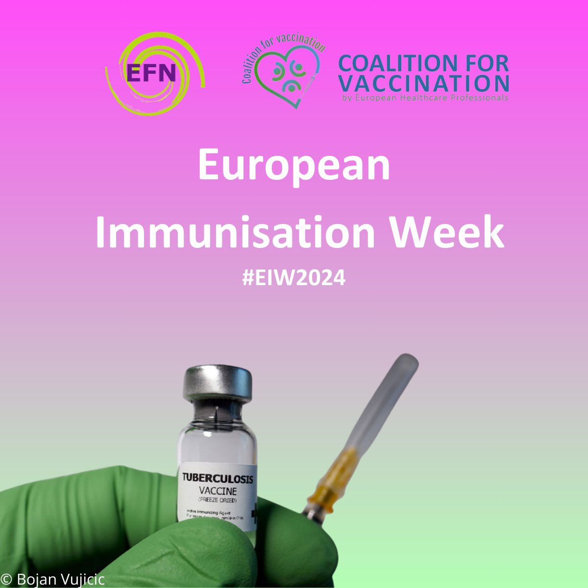 Tuberculosis (TB) was targeted by the #EPI since its inception. Despite progress the incidence of infection and mortality Europe from TB remain high. For this reason, vaccination efforts must continue. #EFN #EIW2024 #GetVaccinated #Nursesforvaccination #Nurses #Prevention