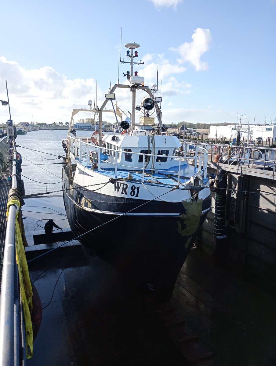 LuytGroep's tweet photo. We krabbelen gewoon door.🦀
De #Schotse #crabber #vivier ‘Sparkling Line’ WY-43 (Keristrum Ltd.) is stralend uit #dok gekomen, terwijl ook de #Wieringer crabber WR-81 'Albert Simon' (Visserijbedrijf Cees Wagemaker) schittert na zijn dokbeurt.
#LUYT #allround #scheepsonderhoud https://t.co/8i145GKL6z