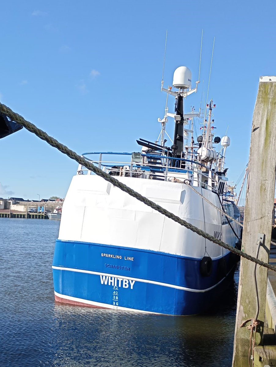 LuytGroep's tweet photo. We krabbelen gewoon door.🦀
De #Schotse #crabber #vivier ‘Sparkling Line’ WY-43 (Keristrum Ltd.) is stralend uit #dok gekomen, terwijl ook de #Wieringer crabber WR-81 'Albert Simon' (Visserijbedrijf Cees Wagemaker) schittert na zijn dokbeurt.
#LUYT #allround #scheepsonderhoud https://t.co/8i145GKL6z