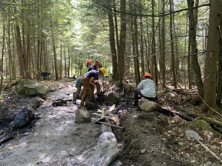 Want to work on trails in Maine and get paid? In this blog post we share with you an array of trail-focused employers in Maine.  mainetrailscoalition.org/blog/trail-job…