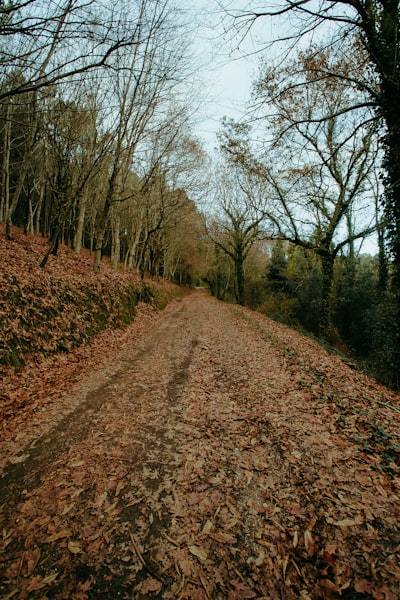 Photo By Ave Calvar | Unsplash 
 #plantbasedskincare #roadrunner #motocycleroadracing #reddirtcountrymusic #roadcycling