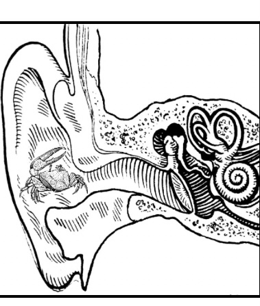 CreativTeach's tweet image. Aujourd'hui 'Ici le Mistral souffle fort' passait sur les ondes de Radio-Panik Bx ... Mood: love, romance &amp;amp; poésie musicale ... Joie immense que Brussels l'ai accueilli un instant éphémère pour le bonheur des oreilles dans l'émission "l'Heure de pointe" !