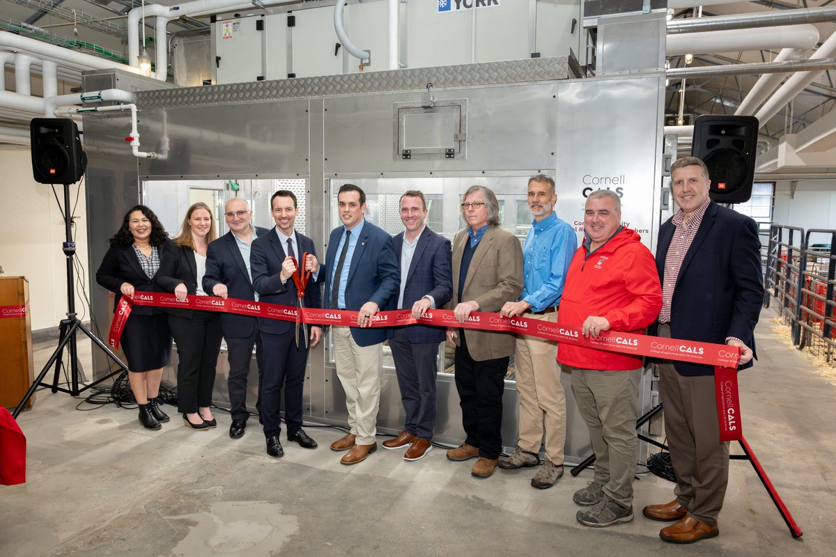 CornellCALS's tweet photo. New climate-controlled animal respiration stalls – the only currently operating in the US – will allow CALS researchers to measure methane &amp; other gas emissions from cows, informing investigations to improve the sustainability &amp; productivity of farms. 🧵https://t.co/Qjn6zZ5BsT https://t.co/bFiwAMi6m8