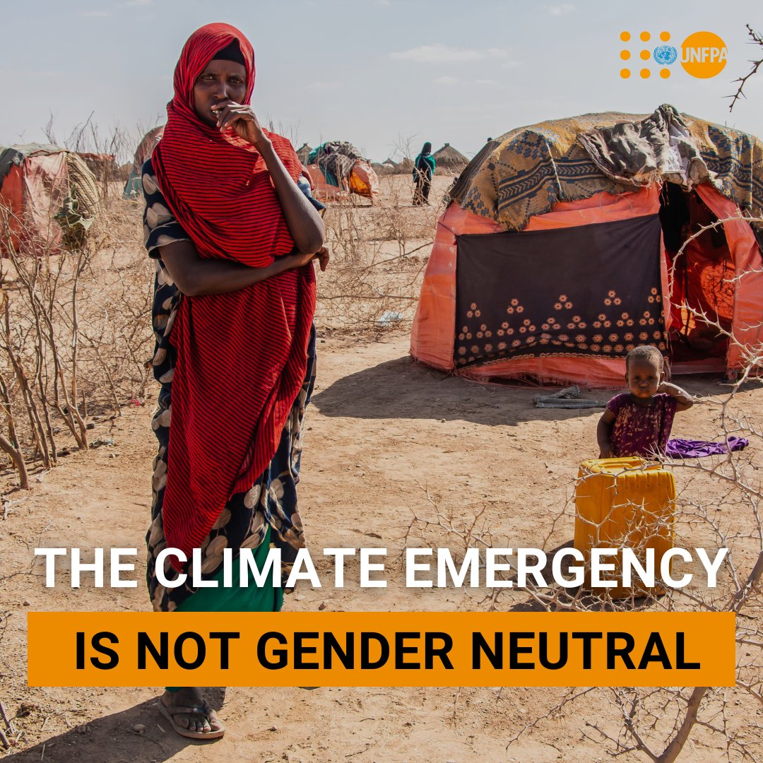 Drought in #Ethiopia will cause around 350,000 pregnant and breastfeeding women to suffer from malnutrition in 2024, robbing them and their newborns of health and even life. See how @UNFPA—the @UN sexual and reproductive health agency—is responding: unf.pa/eth