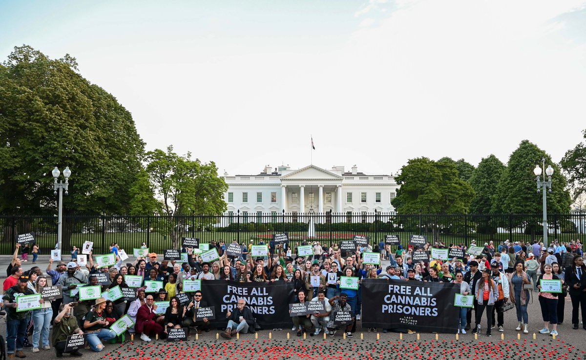 We had the most incredible day in Washington D.C. for #420UnityDay! From lobbying our elected officials in the halls of Congress to our candlelight vigil honoring of all those harmed by cannabis prohibition, the energy of the movement is palpable right now. 🧵