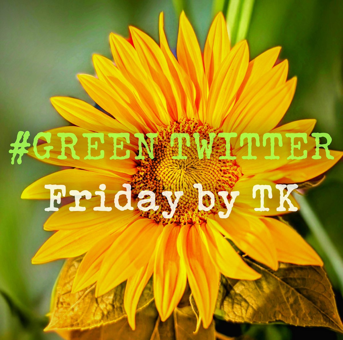 Yep it's Friday and time for @TurboKitty and the #GreenTwitter follow list. So many great people. Check it out! #Solidarity