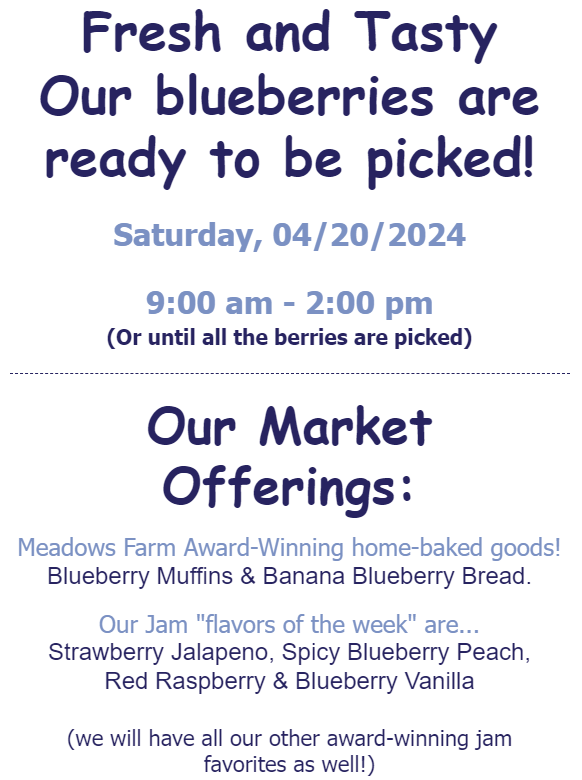 Meadows Blueberry Farm (@meadowsbbfarm) on Twitter photo 