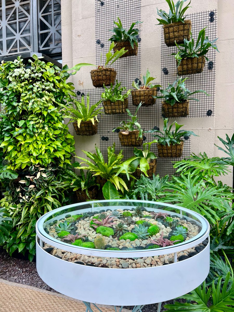 Lost in the tranquility of this Living FerNature piece 🌱 #LivingFerNature #Cityscapes #BiophilicDesign #Biophilia #InteriorPlants #Boston #VisitBoston #GreenSpaces #VerticalSpace #BringNatureIndoors #InteriorDesign