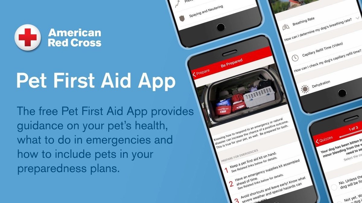 cathedralvet's tweet photo. "...the American Red Cross has an app and online class that teaches pet owners what to do to help their furry friends until they can get to their veterinarian."

 https://t.co/6zQohrQQ8N https://t.co/4cs8Xb7wiL