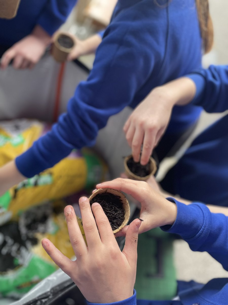 stjosephskly's tweet photo. Oak class enjoyed some planting time/nature stick decoration this afternoon in our outdoor learning session #sunflowers #SJKoutdoorlearning #OakClassRule https://t.co/gxgAY3b2RU