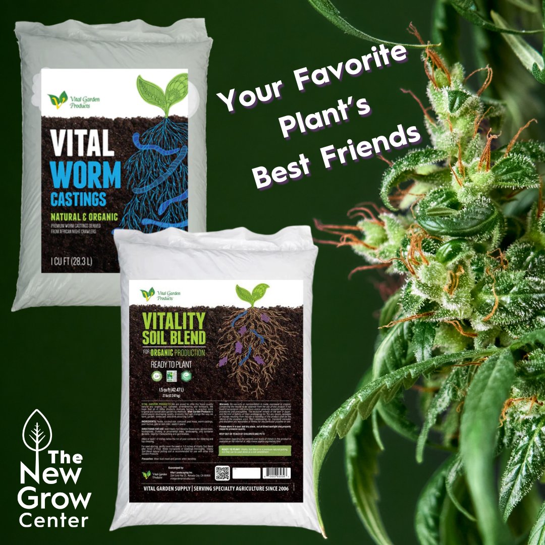 Don't forget to set your plants up for success! The right soil & worm castings can make a HUGE difference in how your grow shapes up.

Want to grow organic and beautiful plants? This is THE choice to grow the highest yielding plants possible! 
 
#homegrow #plants #livingsoil