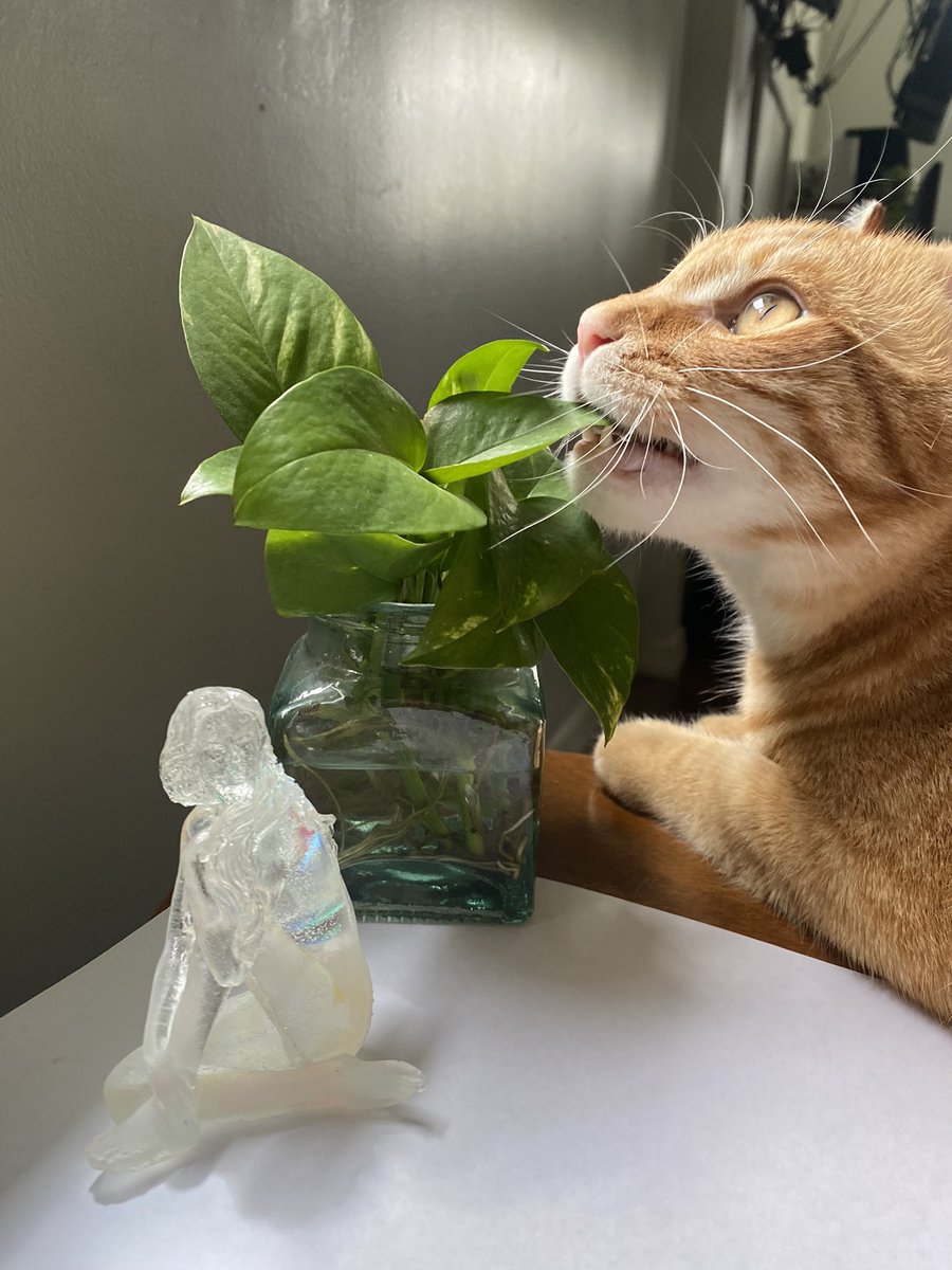 BTS: Waiting for the sun to come back out to continue the product shoot with my hungry assistant (he didn't actually bite it dw)