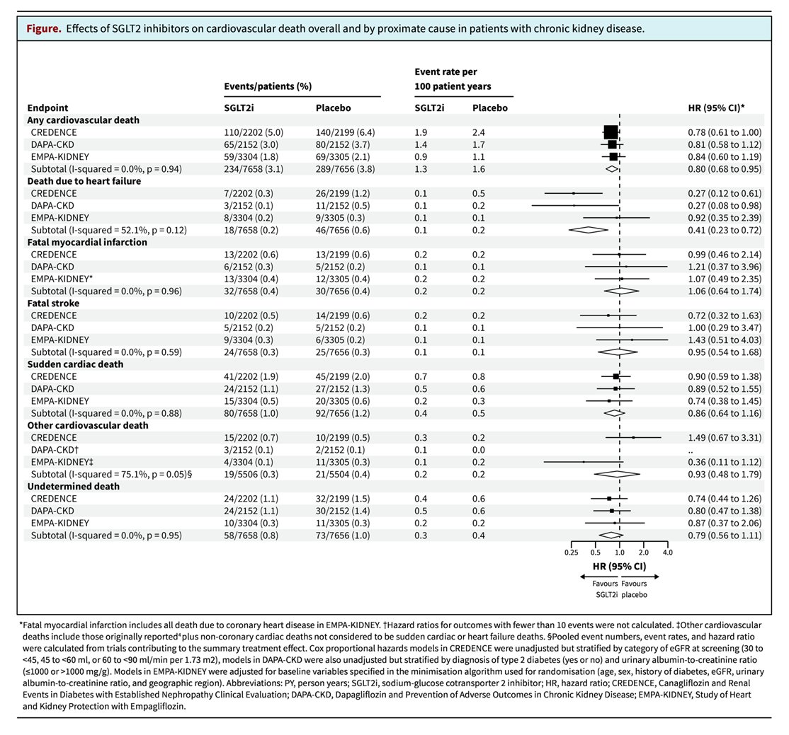 SGLT2 inhibitors reduce the risk of cardiovascular disease in patients with CKD. This study found SGLT2 inhibitors reduced risk of cardiovascular death, having the most pronounced effects on risk of deaths attributed to heart failure bit.ly/CJASN0470 @DavidCWheeler2