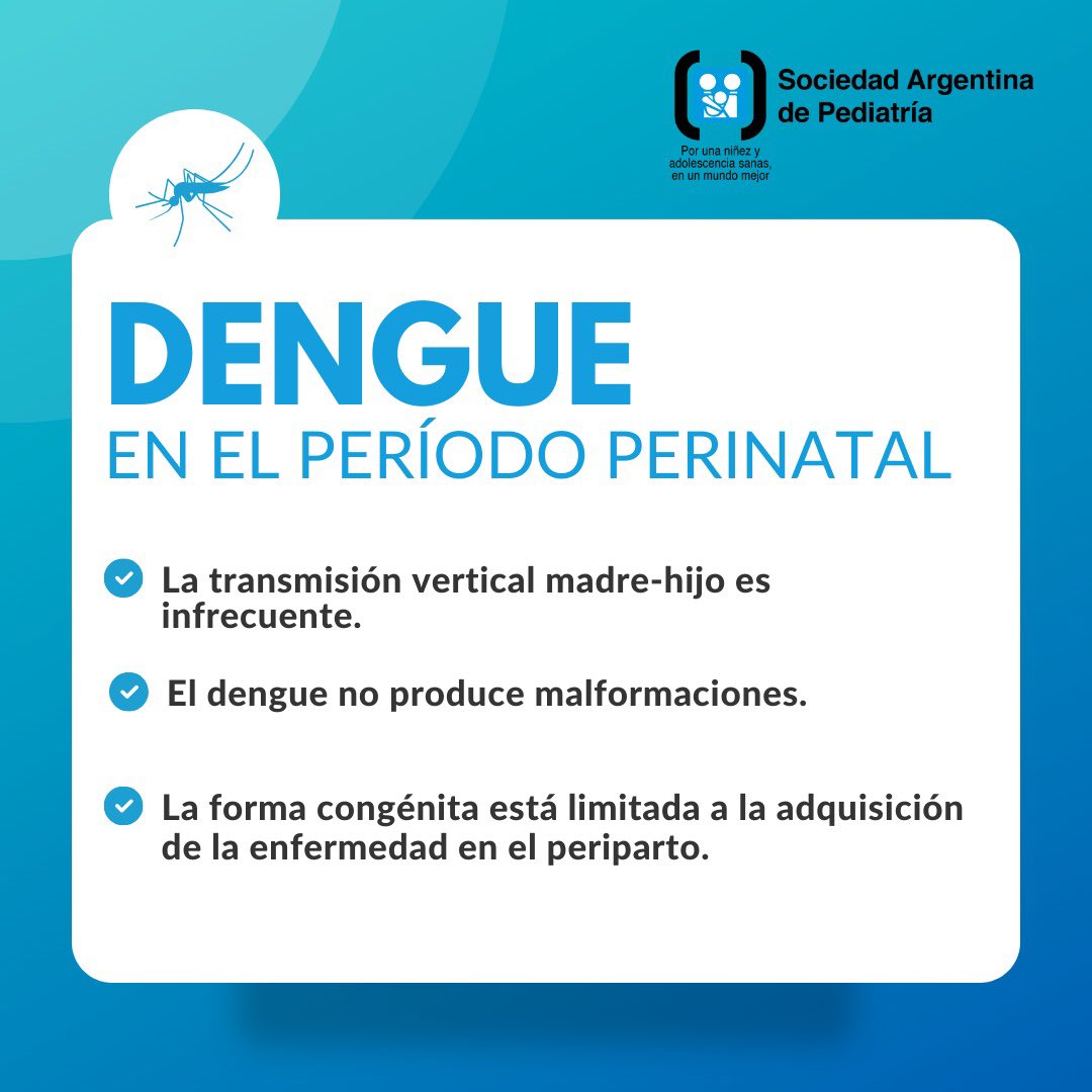 soc_arg_ped's tweet photo. 📣DENGUE EN EL PERÍODO PERINATAL 
👉Todo lo que tenes que saber https://t.co/O5wNbY4pvO