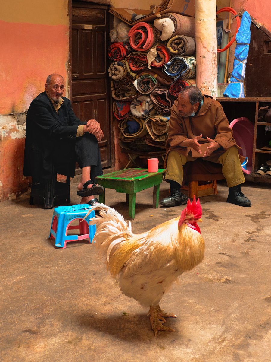 Photos i took inside Moroccan Cafes 🇲🇦