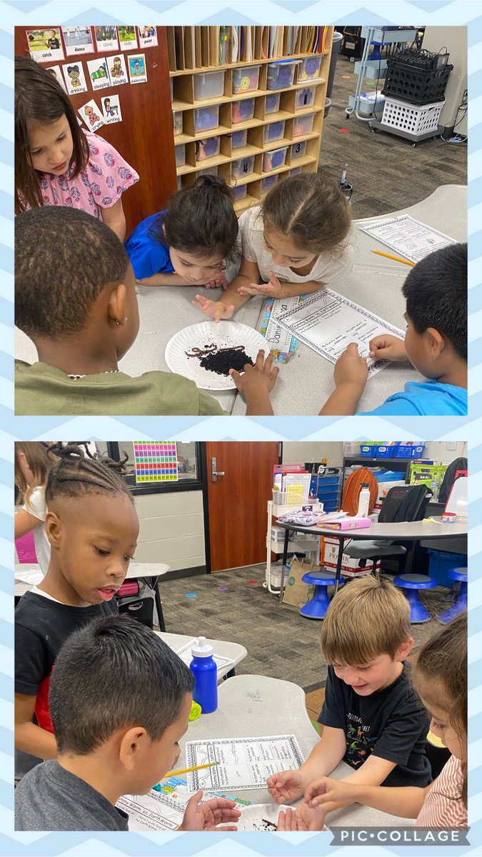 Exploring living things by observing earthworms 🪱 <a href="/CFISDHolmsley/">Holmsley Elementary</a>