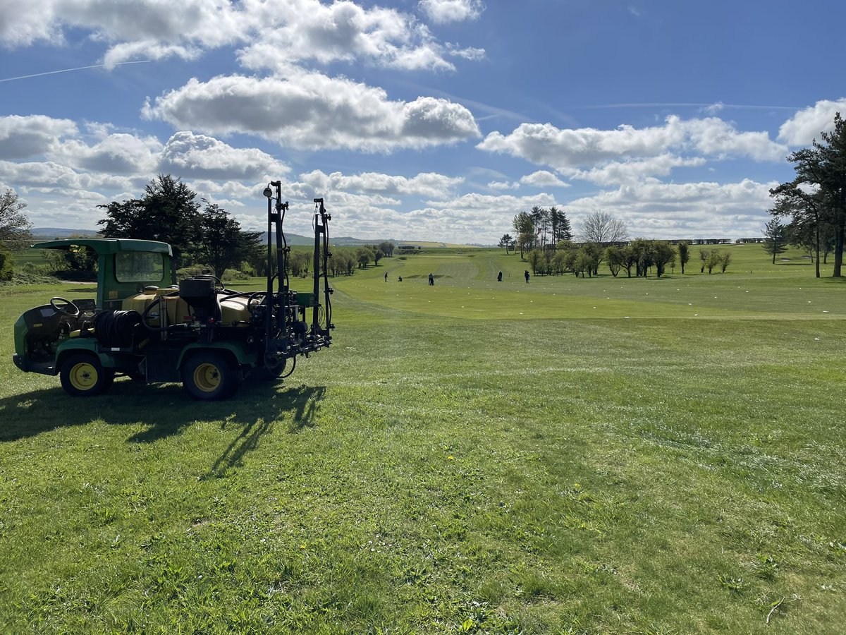 Tom Freeman tweet media