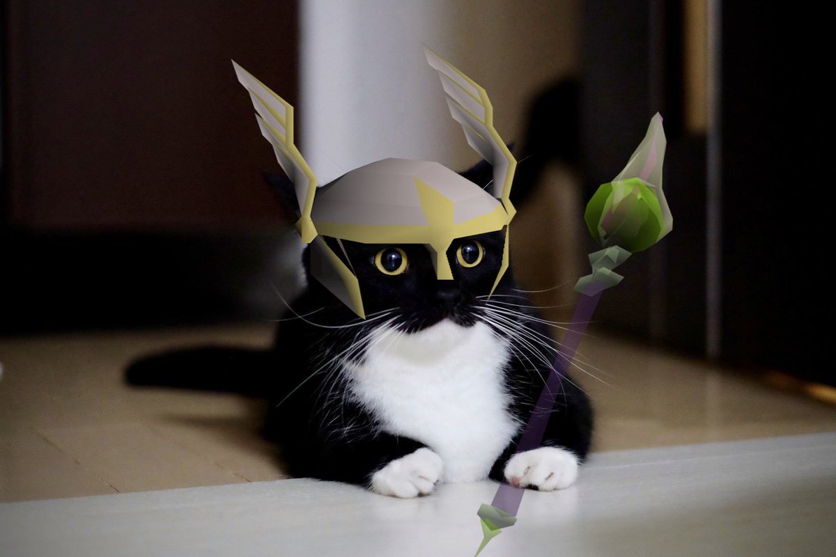 Hobbes🌘 tweet media